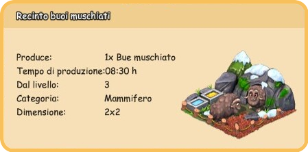 info buoi.png