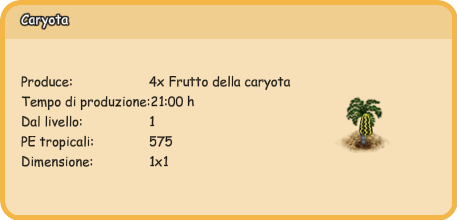 info caryota.png