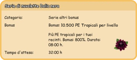 info dalia.png