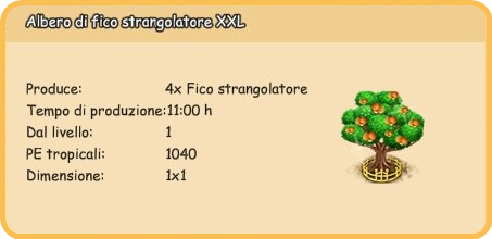 info fico xxl.png
