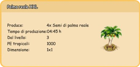 info palma2.png
