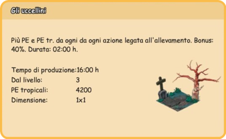 info uccellini.png