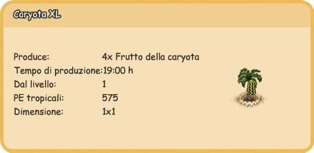 info_caryota xl.png