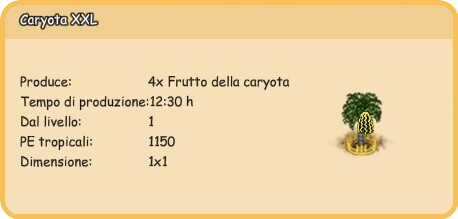info_caryota xxl.png