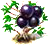 jabuticaba_upgrade_0.png