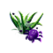 jigsawpuzzlemar2026cobwebplant_small.png
