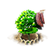 kentuckycoffeetree_upgrade_1_big.png
