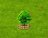 kentuckycoffeetree_upgrade_2.gif