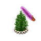 koreanfir_upgrade_1_big.png