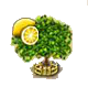 limone xxl.png