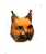 lince.png