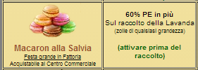macaron alla salvia.PNG
