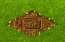 Melone giallo quadrato.gif