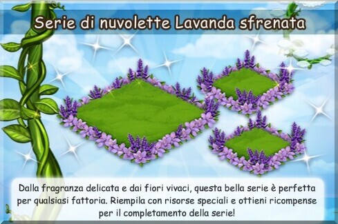 news lavanda.jpg