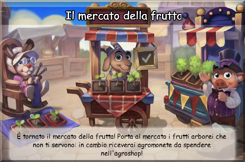 news mercato frutta.png
