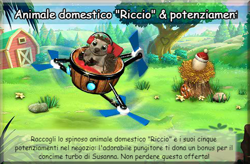 news riccio.png