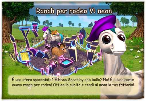 news rodeo.png