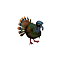 ocellatedTurkey_small.png