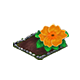 omnilayermay2026primrosebaha_big.png