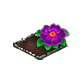omnilayermay2026primrosefm_big.png
