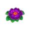omnilayermay2026primrosefm_small.png