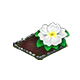 omnilayermay2026primrosemain_big.png