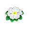 omnilayermay2026primrosemain_small.png