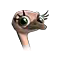 ostrich_small.png