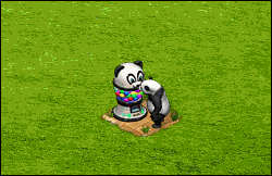 panda1.gif