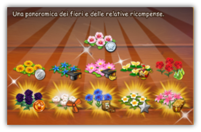 panoramica ricompense_fiori (1).png