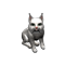 polarLynx_small.png