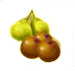 pomelo frutto.png