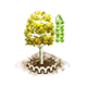 populustremuloides_upgrade_1_big.png