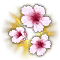 questicon1920.png
