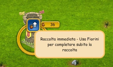 racc immediata.jpg
