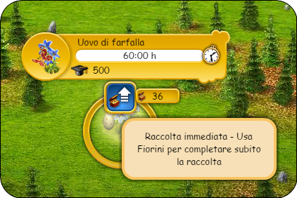 raccolta imm.png