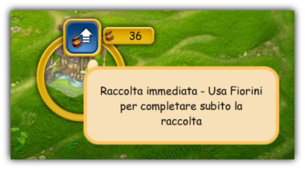 raccolta.png