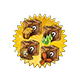 rcoffersep2026pack3_big.png