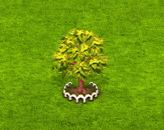 redsnakebarkmaple_upgrade_1.gif