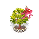 redsnakebarkmaple_upgrade_1_big.png