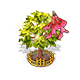 redsnakebarkmaple_upgrade_2_big.png