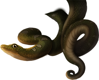 reward_02_snake.png