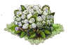 rosa bianca.png