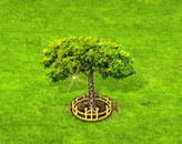 sandboxtree_upgrade_2.gif