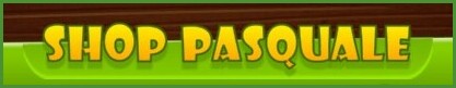 shop pasquale.jpg