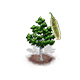 silverbirch_upgrade_0_big.png