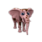 spottedElephant_small.png