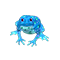 spottedToad_small.png