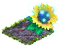 springcleanmar2016arcanesunflower.png