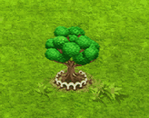 stranglerfig_upgrade_1_big.gif